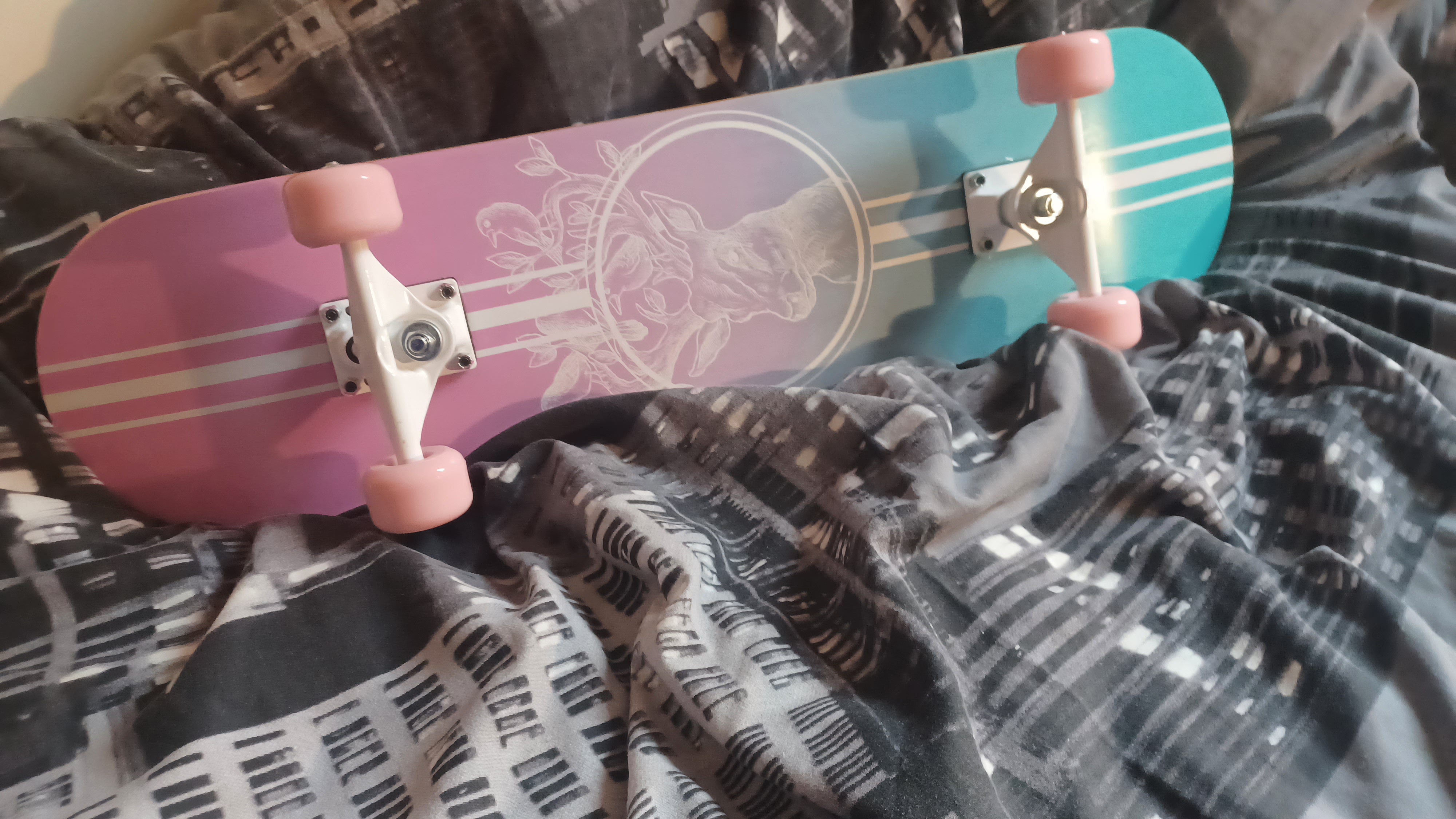 Image of the skateboard from beneath